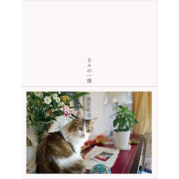 なにも願わない手を合わせる 藤原新也（帯付き） なにも願わない手を合わせる』藤原新也 | 文春文庫